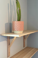 Hyllplan i massiv Ek