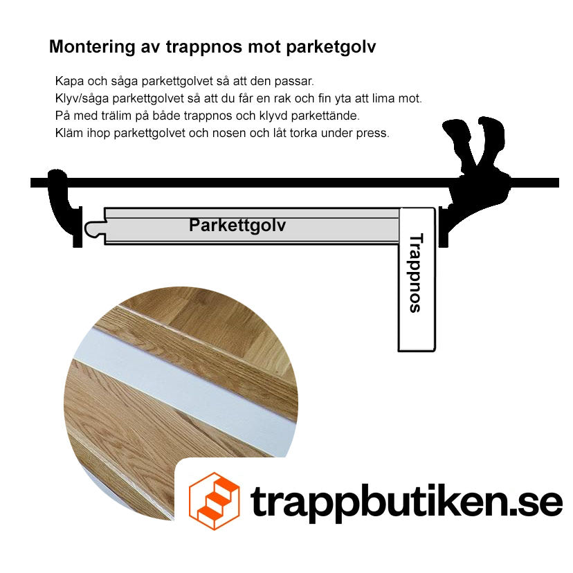 Trappnos